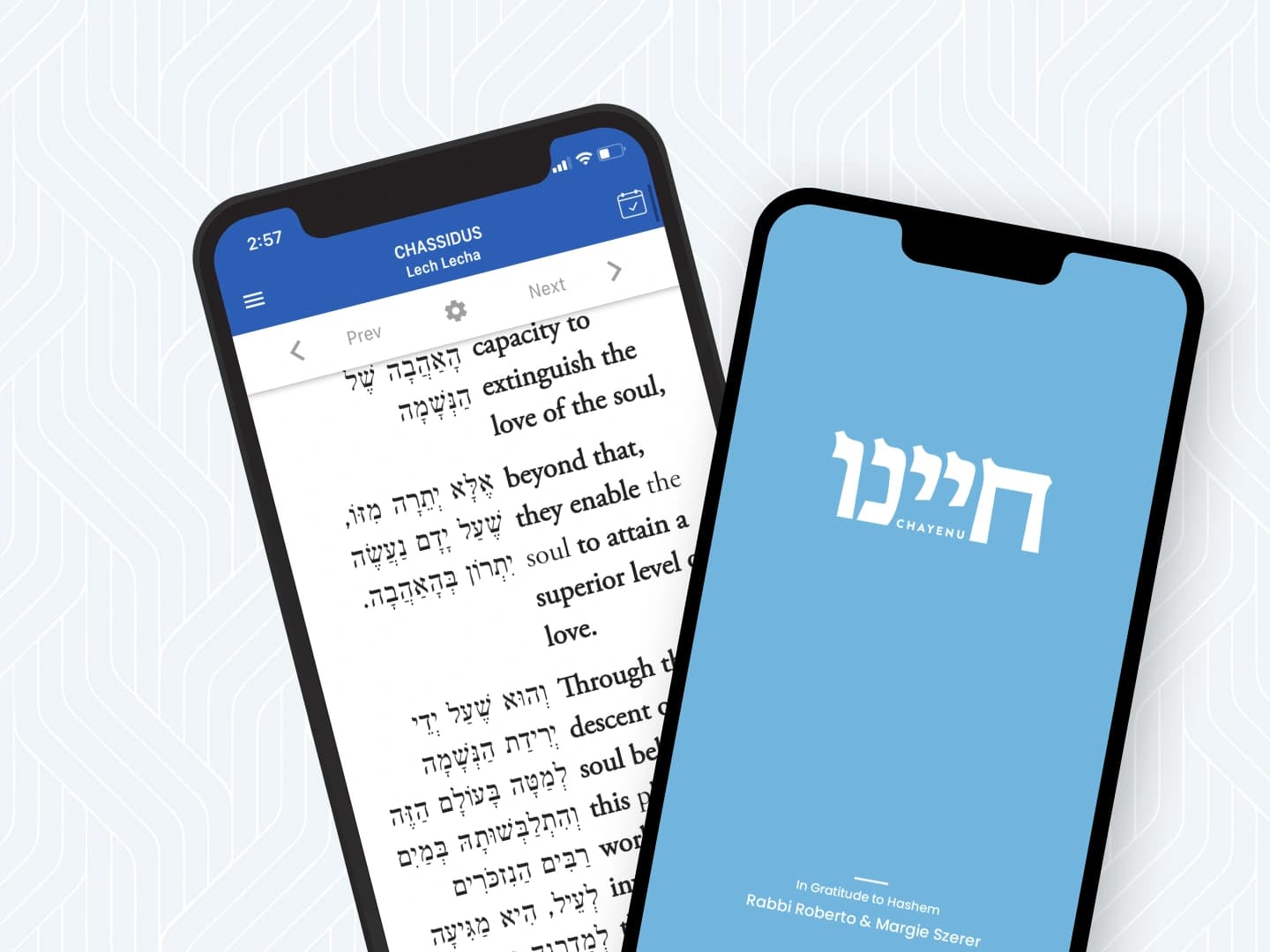 Study Section - Chayenu App