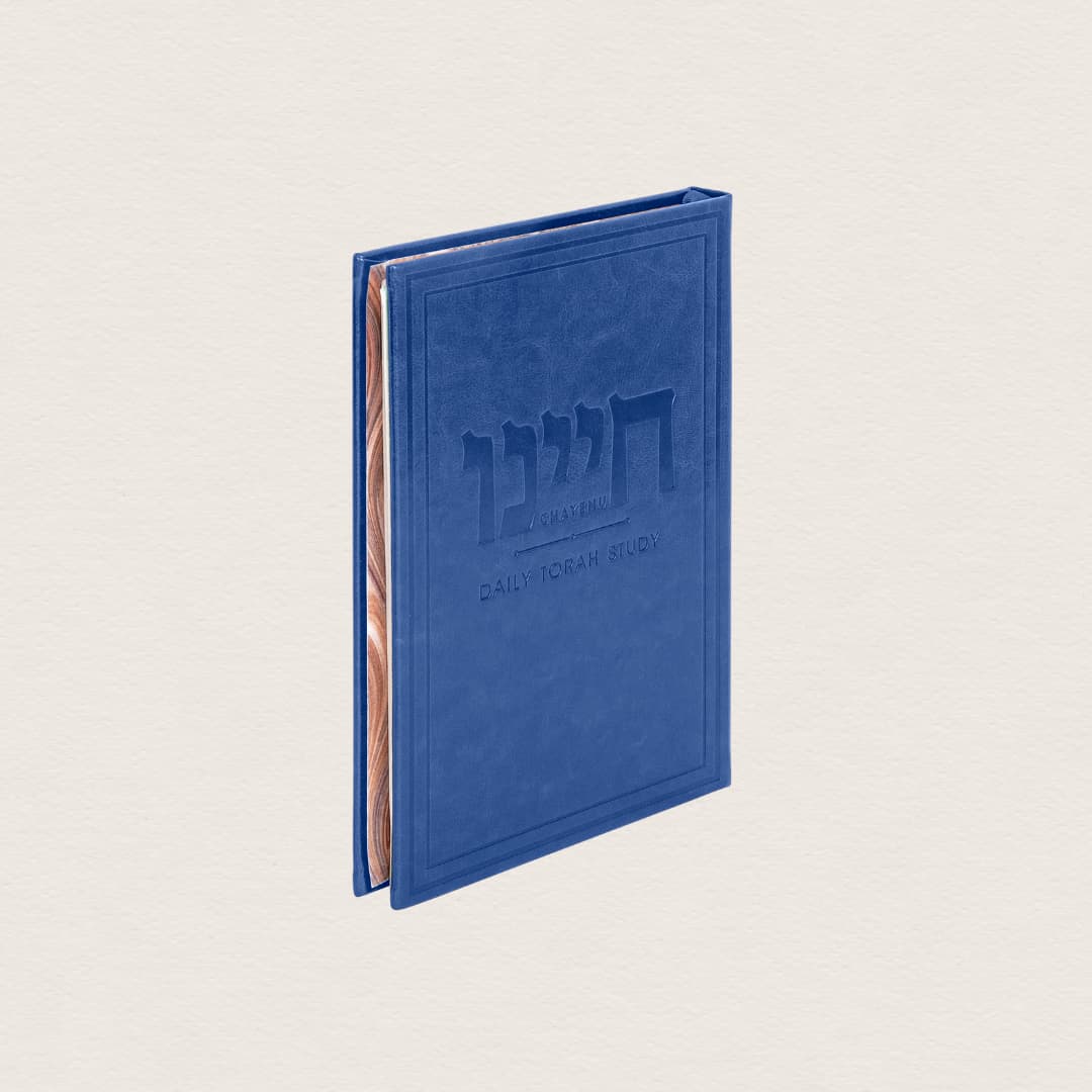 Cobalt Slip Cover